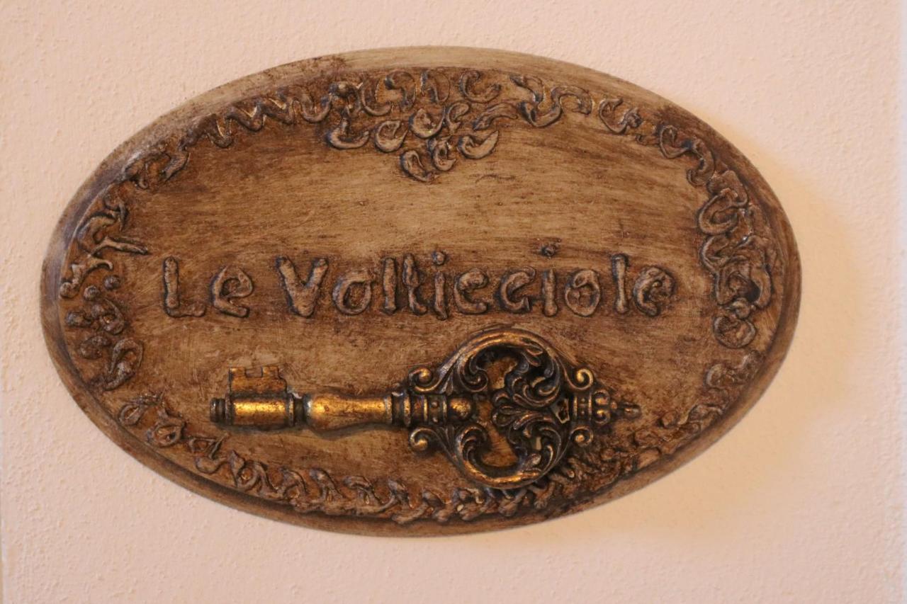 B&B La Taccola Castelnuovo di Val di Cecina Exterior foto